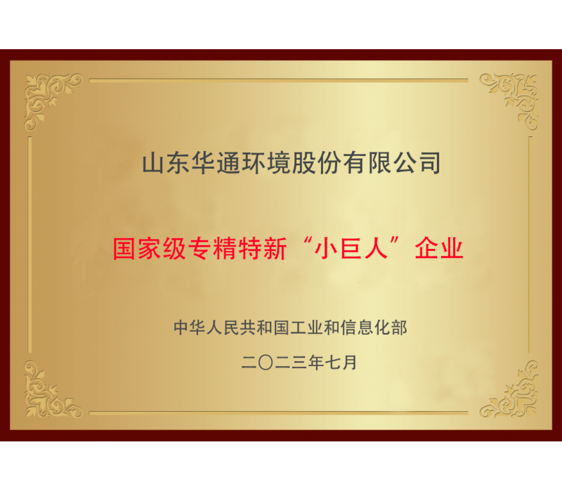國(guó)家級(jí)專(zhuān)精特新“小巨人”